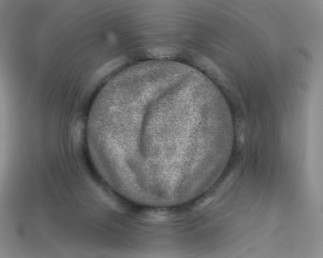 X0000113570071200910161527