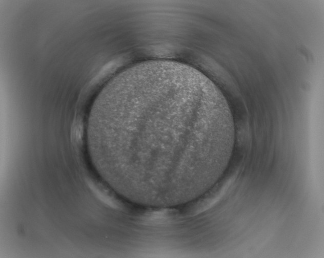 X0000113570072200910161527