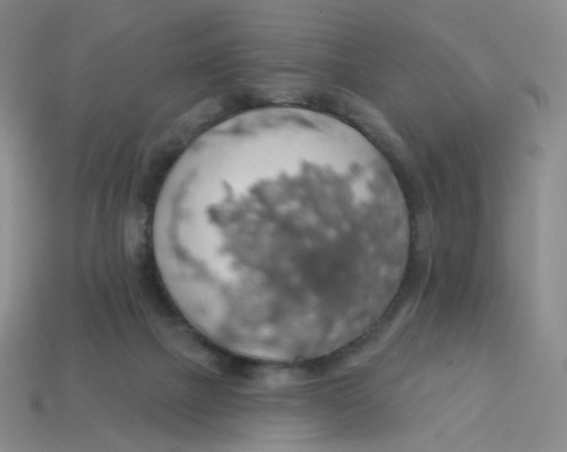 X0000113570073200910161527