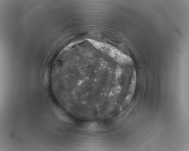 X0000113570074200910161527