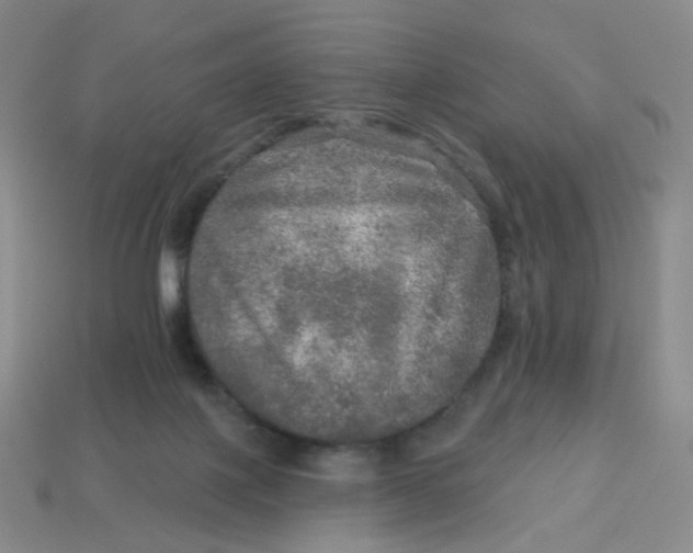 X0000113570075200910161527