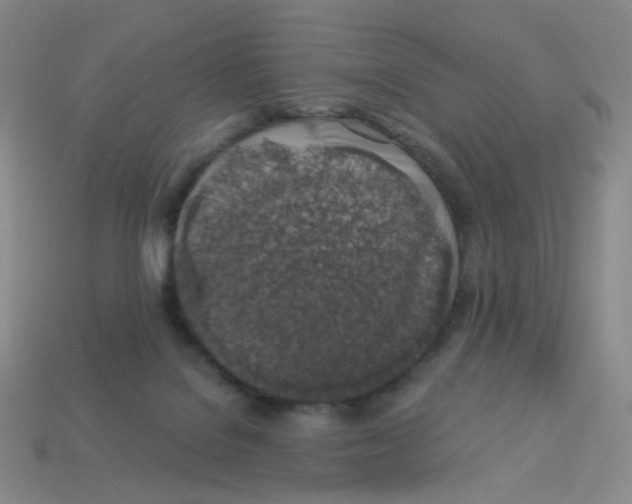 X0000113570076200910161527