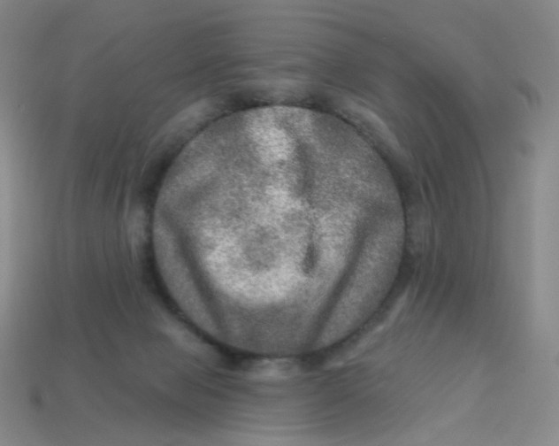 X0000113570077200910161527