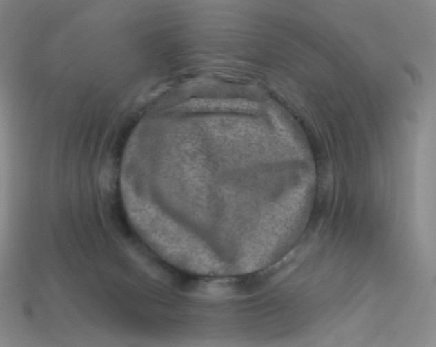 X0000113570078200910161527