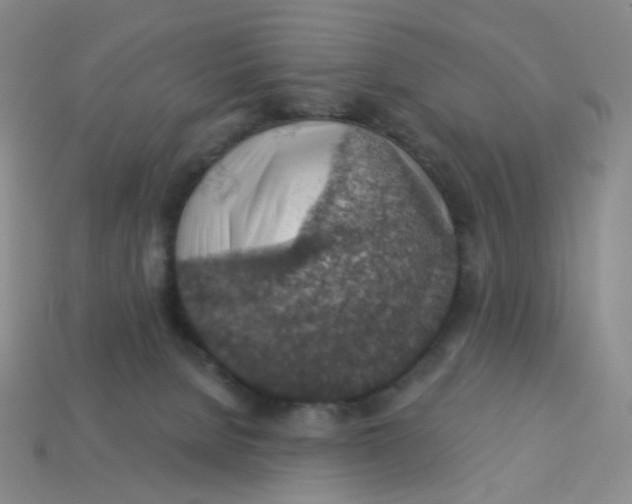 X0000113570080200910161527