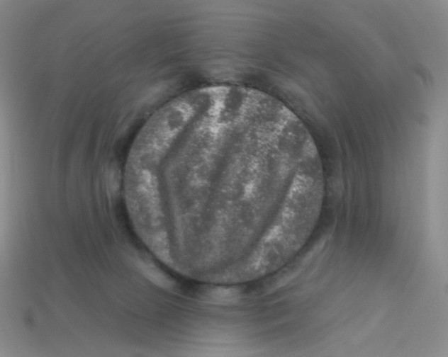 X0000113570081200910161528