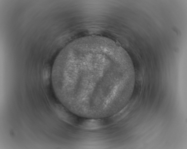 X0000113570082200910161528