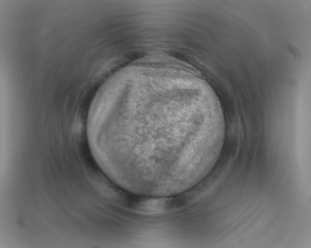 X0000113570084200910161528