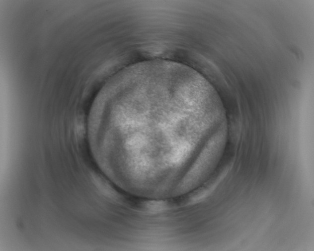 X0000113570085200910161528