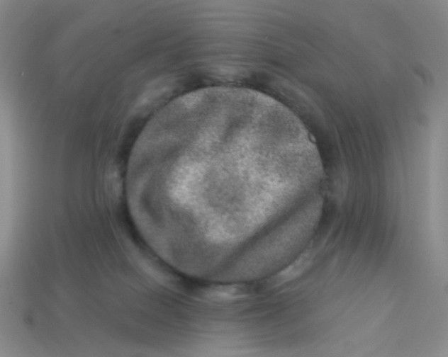 X0000113570086200910161528