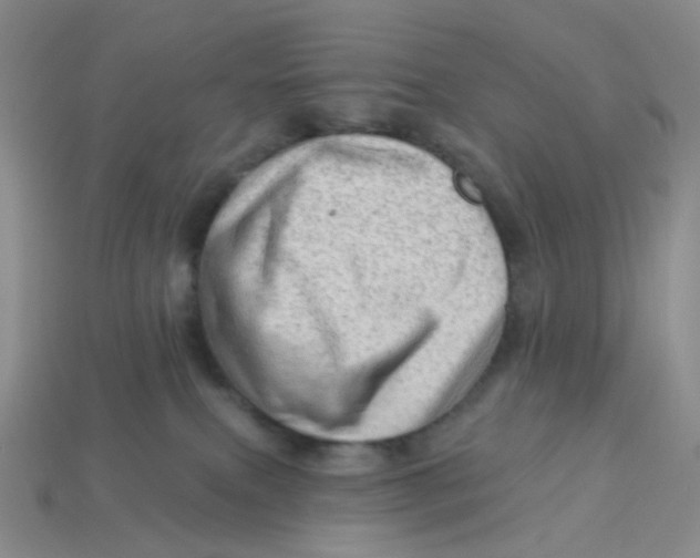 X0000113570087200910161528