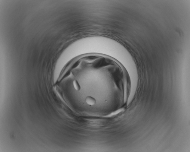 X0000113570088200910161528