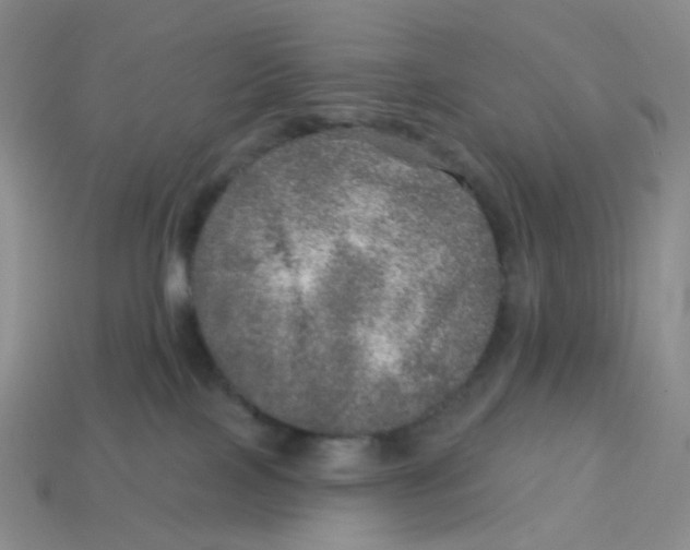 X0000113570089200910161528