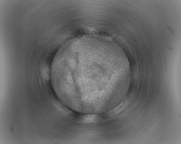 X0000113570090200910161528