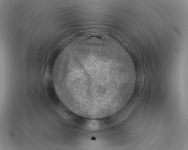 X0000113570091200910161528