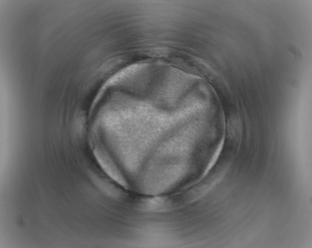 X0000113570092200910161528