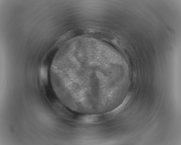 X0000113570094200910161528