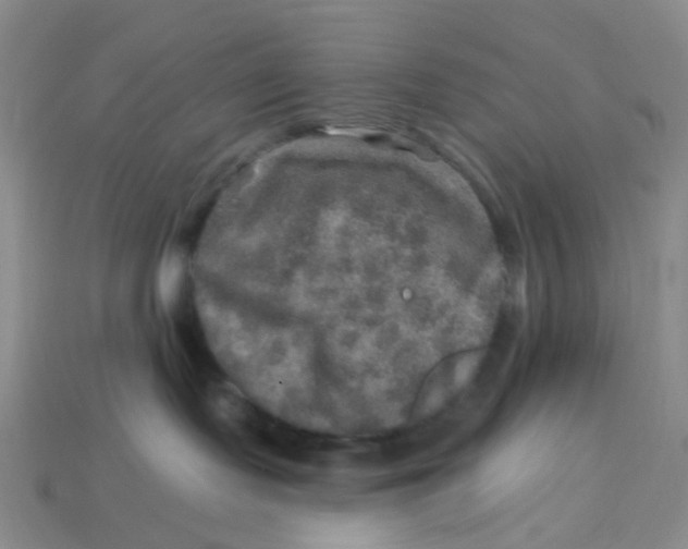 X0000113570095200910161528