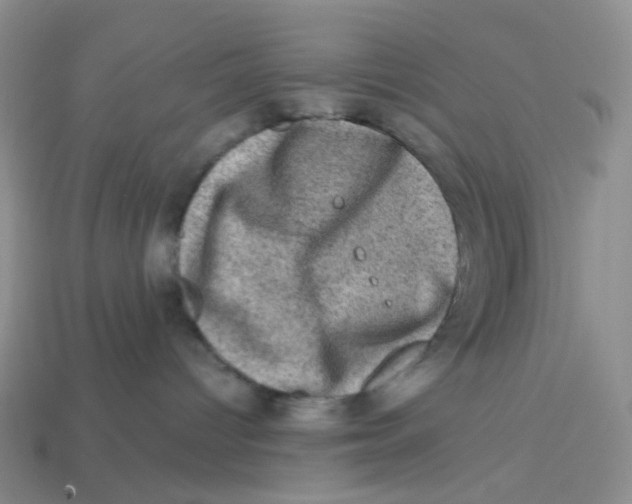 X0000113570096200910161528