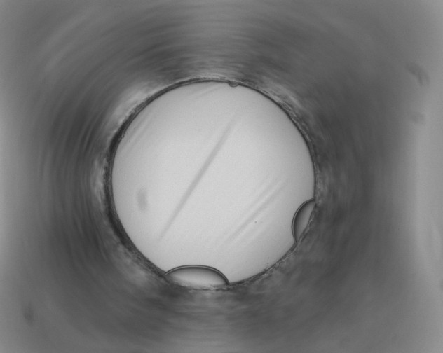 X0000113570098200910161527