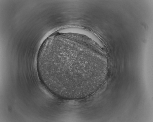 X0000113570100200910161527