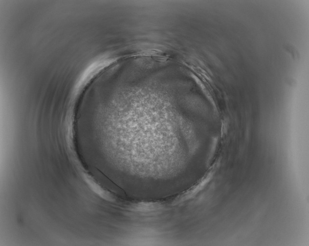 X0000113570101200910161527