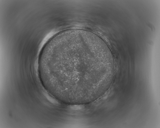 X0000113570102200910161527