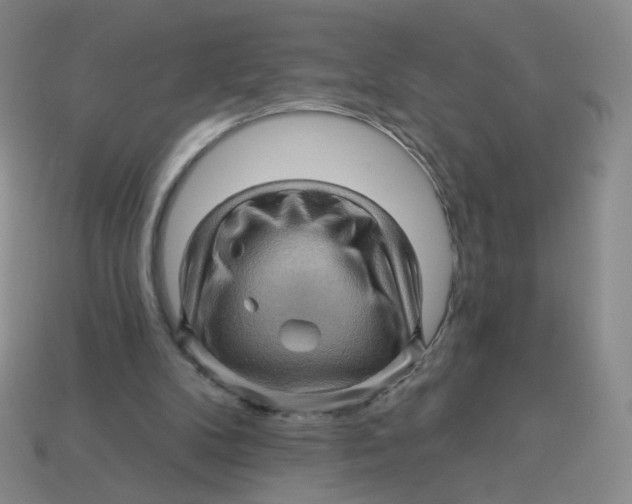 X0000113570104200910161527