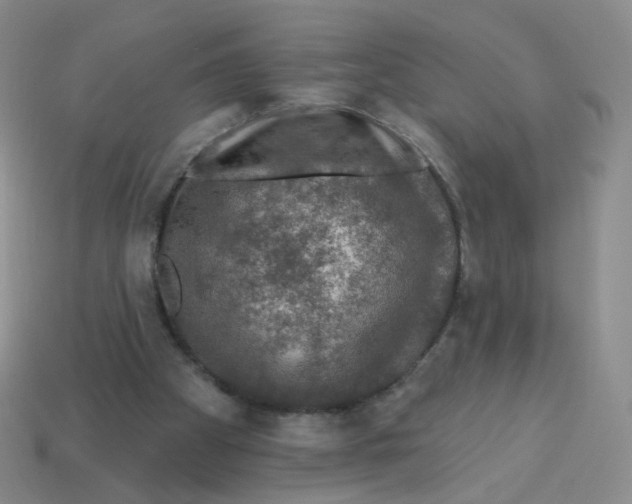 X0000113570105200910161527