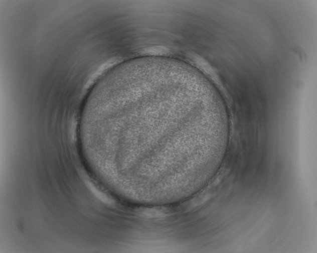 X0000113570106200910161527