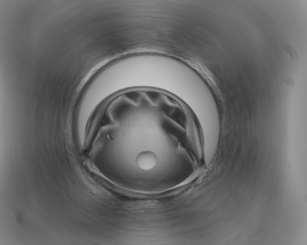 X0000113570108200910161527