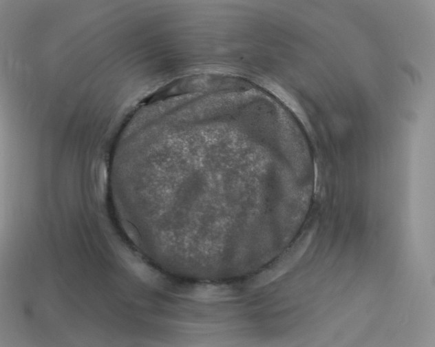 X0000113570109200910161527