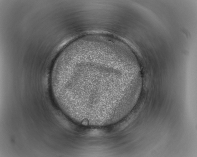 X0000113570111200910161527