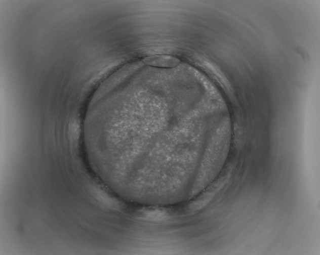 X0000113570113200910161527