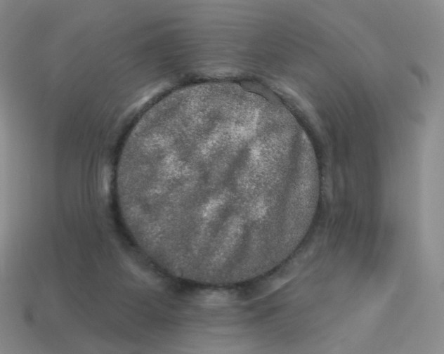 X0000113570115200910161527