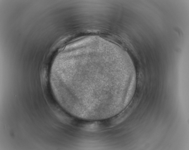 X0000113570116200910161527