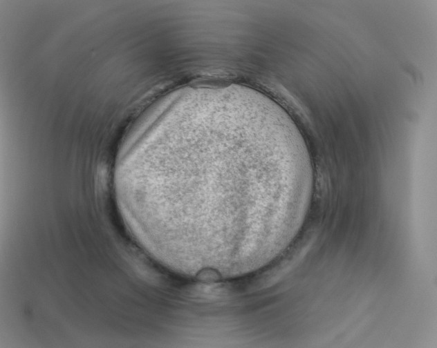 X0000113570117200910161527