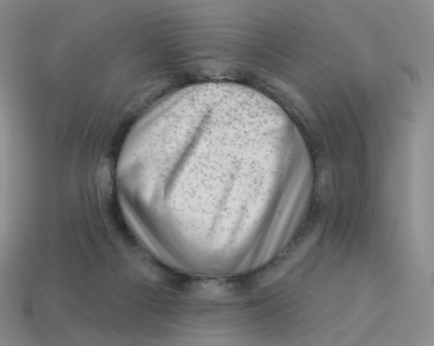 X0000113570121200910161527