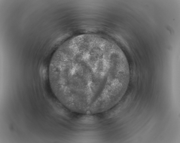 X0000113570123200910161527