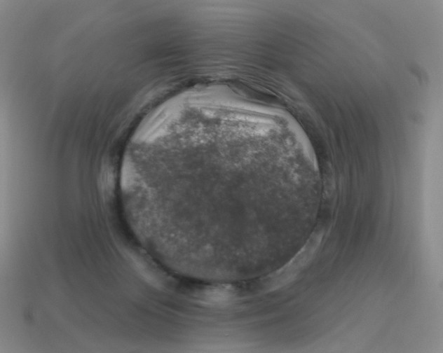 X0000113570124200910161527