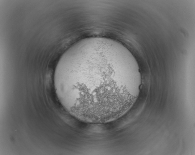 X0000113570127200910161527