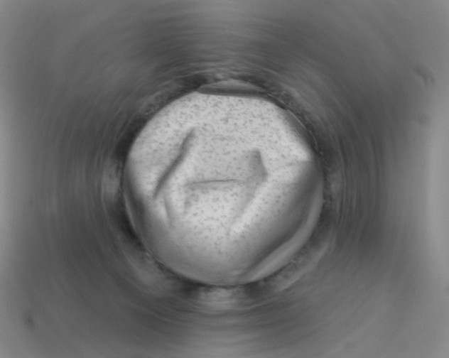 X0000113570129200910161527