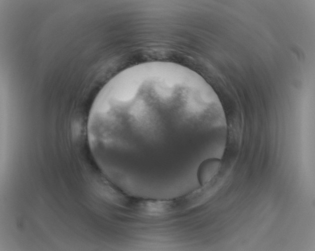 X0000113570134200910161527