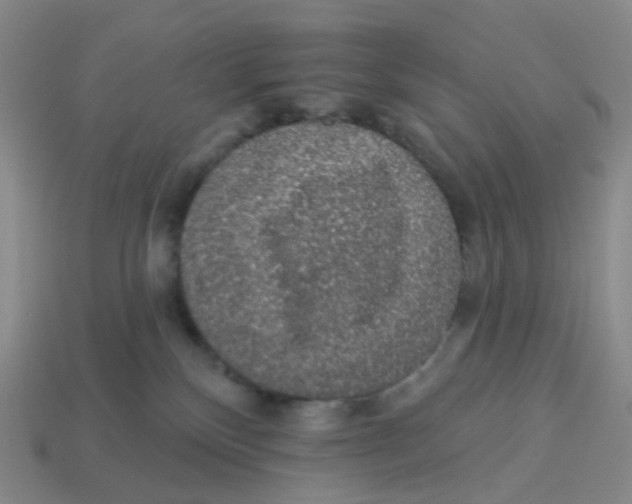 X0000113570136200910161527