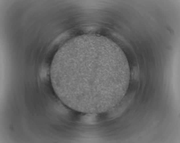 X0000113570138200910161527