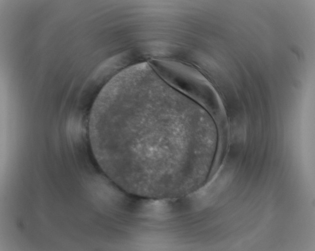 X0000113570140200910161527