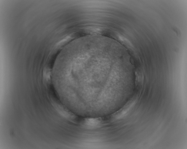 X0000113570141200910161527