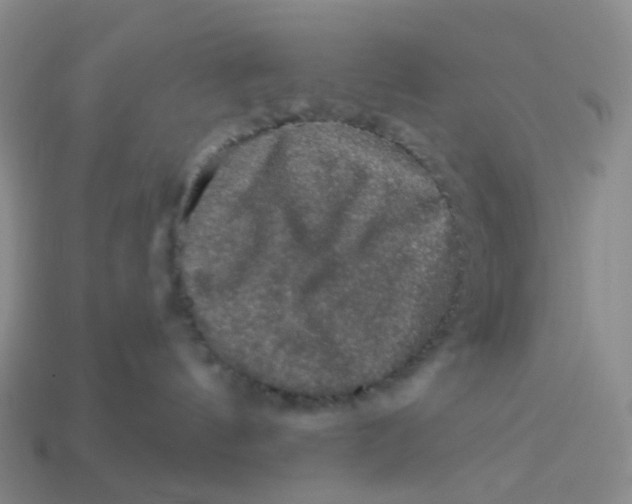 X0000113570144200910161526