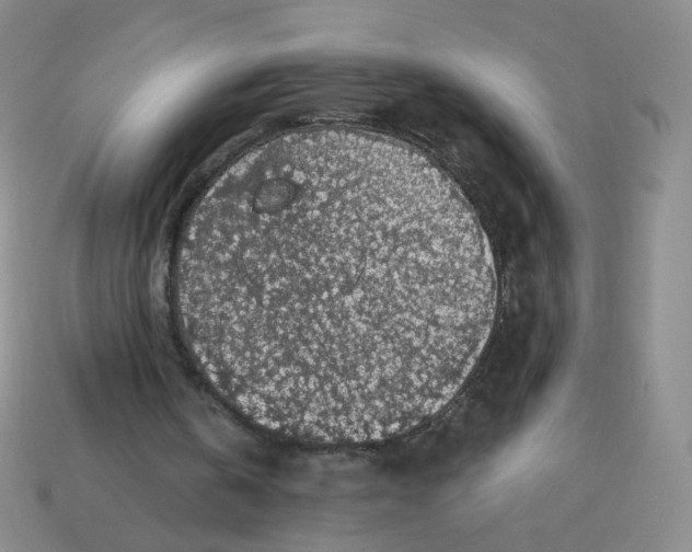 X0000113570146200910161525