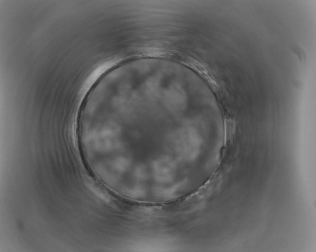 X0000113570147200910161526